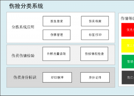 輻射傷情標識系統(tǒng)